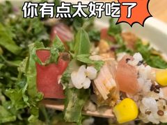 -油梨树AVOCADO TREE(望京店)