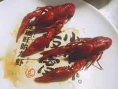 -龙巢盱眙龙虾·牛蛙·烧烤宵夜(八卦岭店)