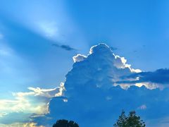 -牛背梁国家森林公园