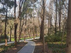 -昆山城市生态森林公园