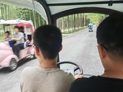 -黄海国家森林公园