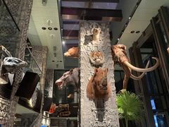 -圣爵菲斯大酒店(长沙世界之窗店)