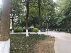 -火炉山森林公园