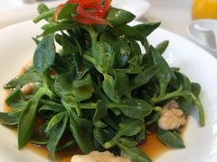 醋汁田七苗-逸道(益丰·外滩源店)