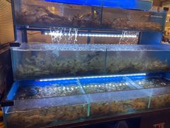 -星伦多自助料理(华润万象城店)