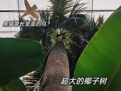 -北国之春国宴(乌兰察布店)