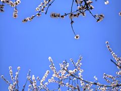 -龙湖星悦荟(颐和店)