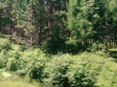 -塞罕坝国家级自然保护区