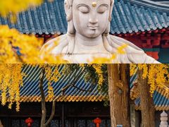 -老门东历史文化街区