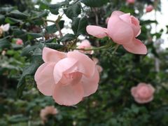 -人民公园(罗湖区)