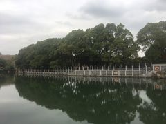 -白马涧龙池景区
