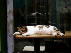-小时光咖啡馆(开森度假森林店)