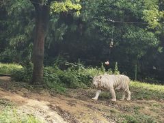 -杭州野生动物世界
