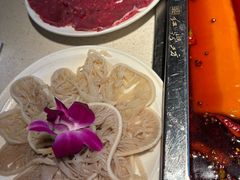 -红鼎坊·老成都火锅(新南门店)