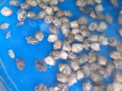 -晓伟海鲜家常菜