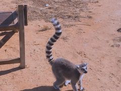 -秦皇岛野生动物园