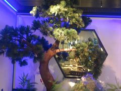 -绿茶餐厅(成都大悦城店)