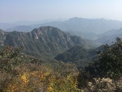 -大岭沟猕猴桃谷风景区