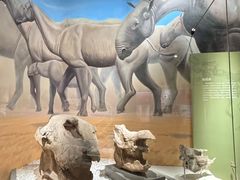 -国家自然博物馆