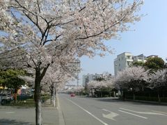 -锦月楼百姓厨房(大箕山商业广场店)