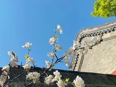 -潭柘寺景区