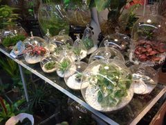 iphone_upload_pic-双季花艺园艺市场(浦东店)