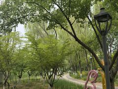 -大兴滨河森林公园