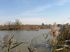 -盐城丹顶鹤湿地生态旅游区
