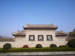 -花戏楼