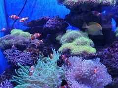 -多彩贵州城极地海洋世界