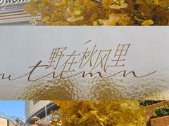 -石家庄万象城
