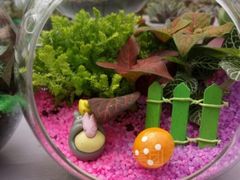 -三圣花乡旅游区