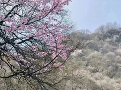 -少华山国家森林公园