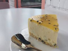 -喵屿·大理花园猫咖