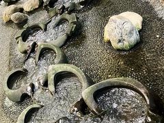 -成都市活水公园