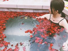 -天目湖涵田半山温泉