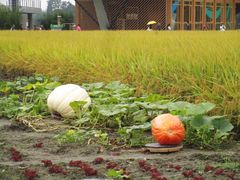 -中国天府农业博览园