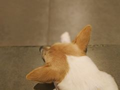 -慢象咖啡(台江店)