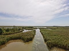 -盐城丹顶鹤湿地生态旅游区