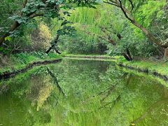 -同里国家湿地公园
