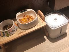 -PETKIT小佩宠物(古北店)