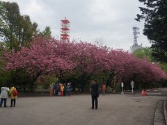 -北海道厅旧本厅舍(旧本庁舎)