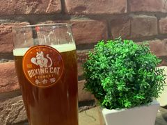 -Boxing Cat Brewery拳击猫精酿啤酒馆(永福店)