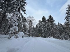 -雪谷