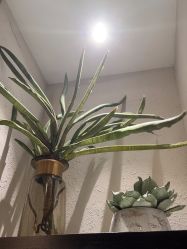 -香秀空间科技抗衰·美容中心