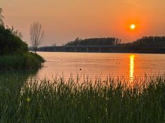 -丁香湖公园