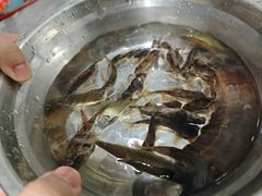 -雅安上里古镇