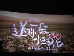 -中影星美国际影城(西乡天虹店)