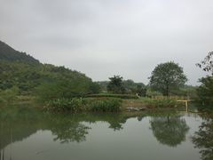 -金钉子远古世界景区