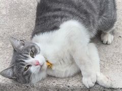 -凯里站